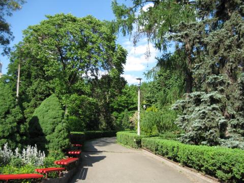 Ботанічний сад імені академіка Олександра Фоміна - Київ