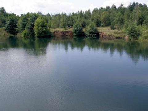 Надслучанський регіональний ландшафтний парк