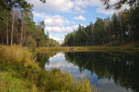 Тростянецький парк