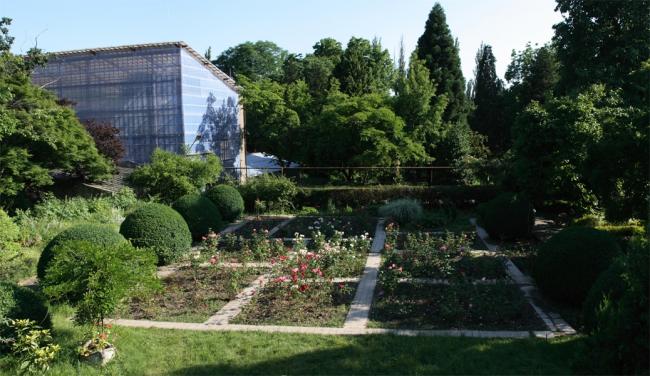 Ботанический сад - Ужгород