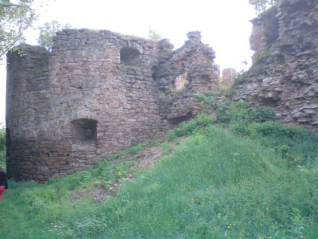 Микулинецький замок