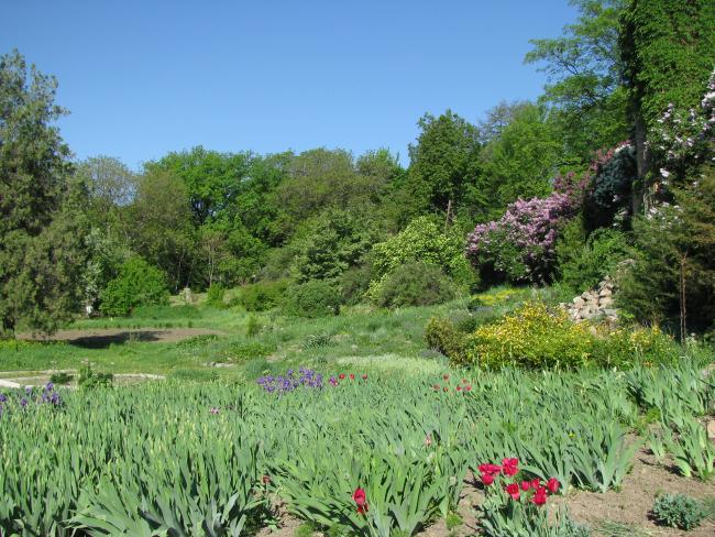 Photo of the Botanical Garden in Poltava
