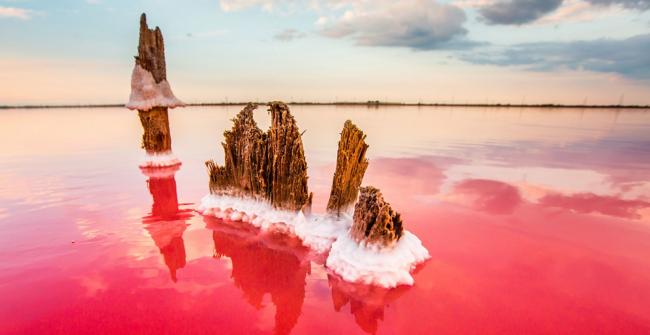 Рожеве озеро Херсон